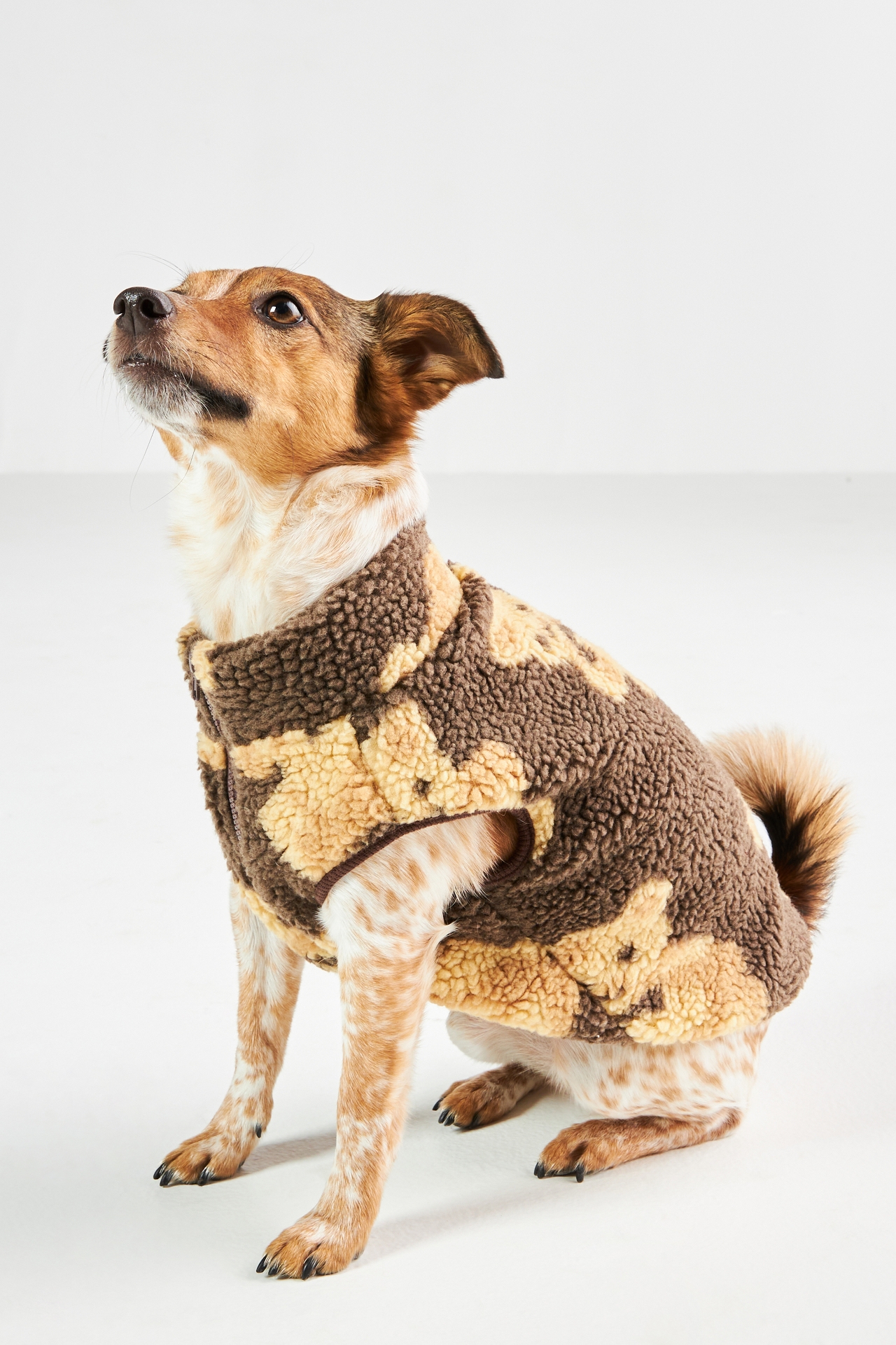 monchéri Bear Dog Vest