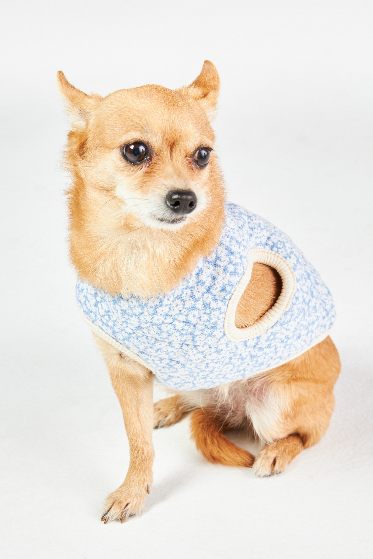 monchéri Quilted Floral Dog Vest