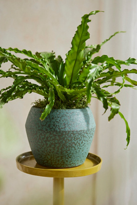 Aqua Diamond Terracotta Planter
