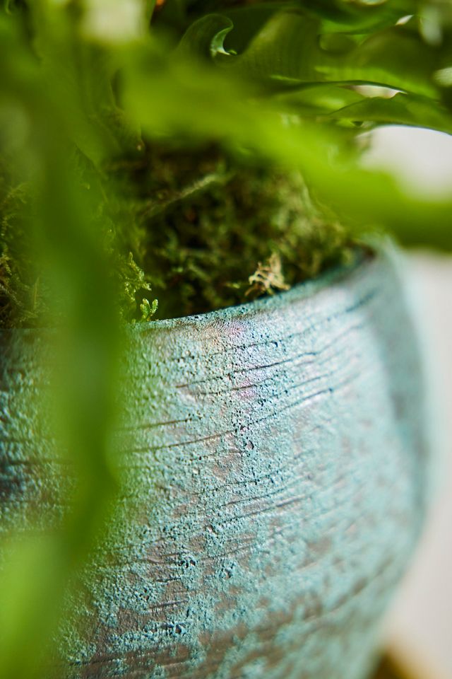 Aqua Diamond Terracotta Planter #1