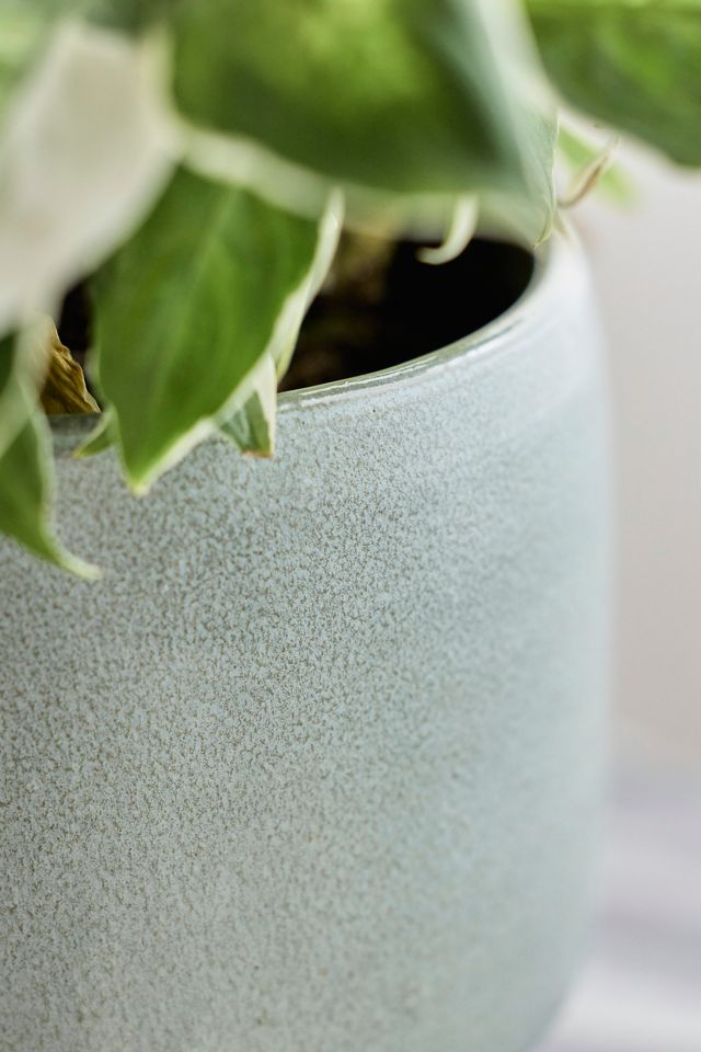 Footed Cylinder Terracotta Planter #1