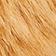 Brown / Ivory Stripe