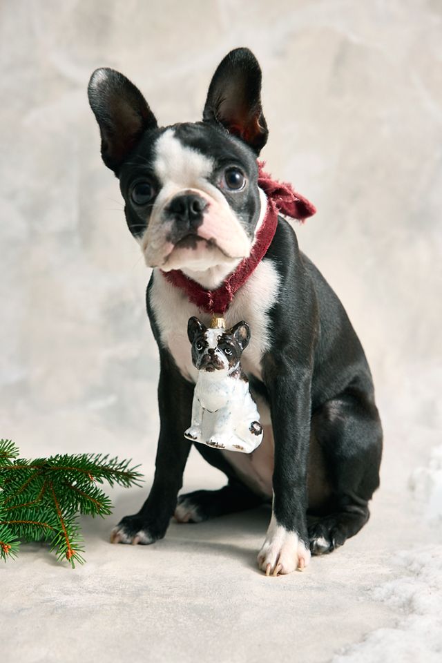 French Bulldog Glass Ornament #1