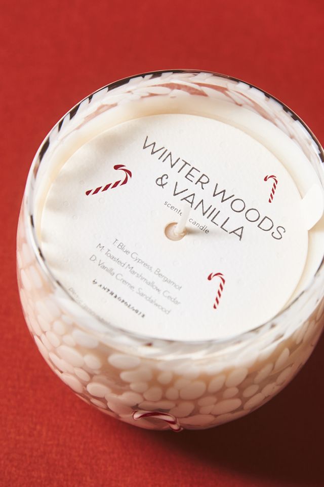 Vela de Vidrio Icon Woody Winter Woods & Vanilla #2