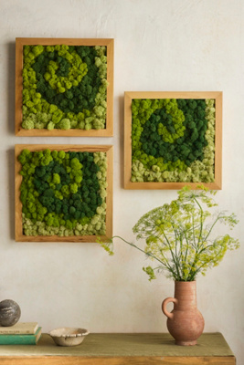 Terrain Swirl Preserved Moss Frame In Multicolor