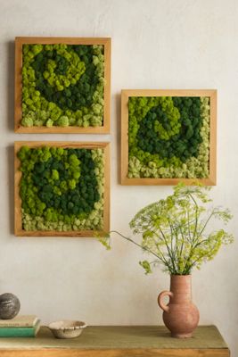 Swirl Preserved Moss Frame