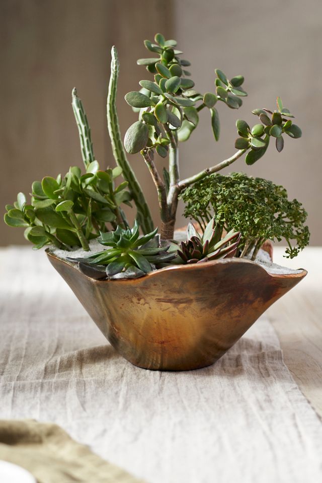 Burnished Petal Bowl Planter #1