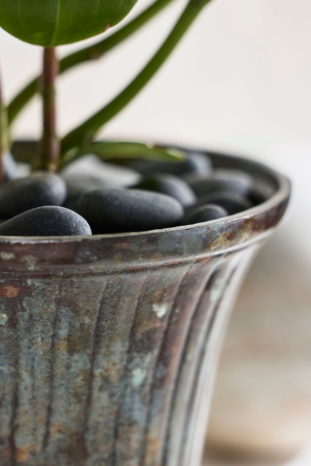 Weathered Flare Urn Planter #1