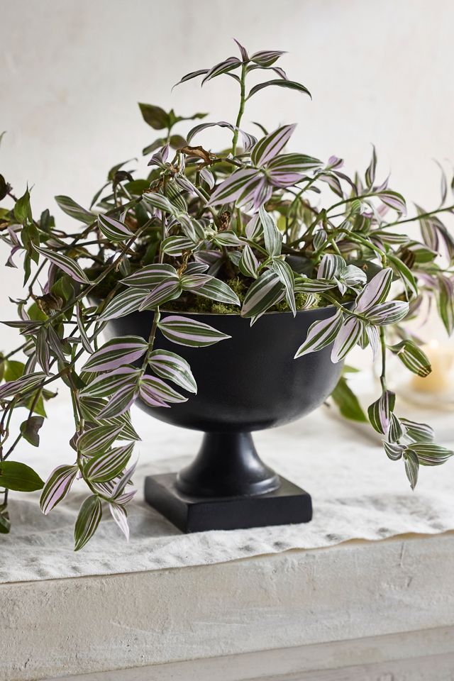 Black Aluminum Wide Mouth Urn #4