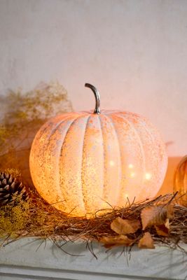 Frosted Glass Pumpkin, 12"