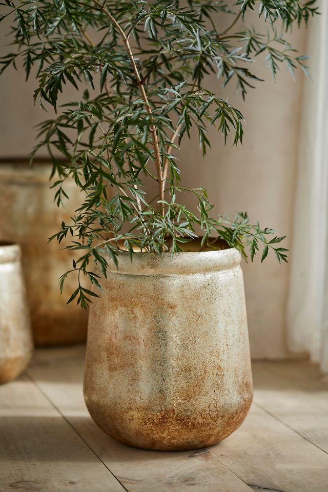 Weathered Gold Iron Planter #1