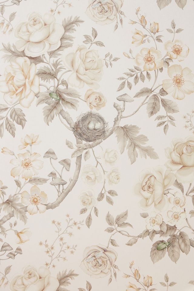 Tansy Bloom Floral Oyster Wallpaper #1