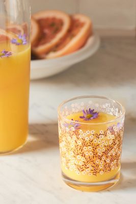 Short Juice Glasses, Set of 4