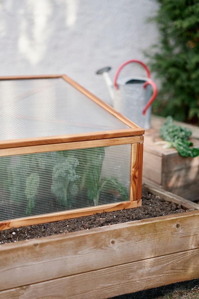 Teak Cold Frame Planter #1