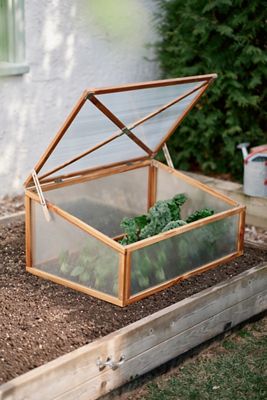 Teak Cold Frame Planter