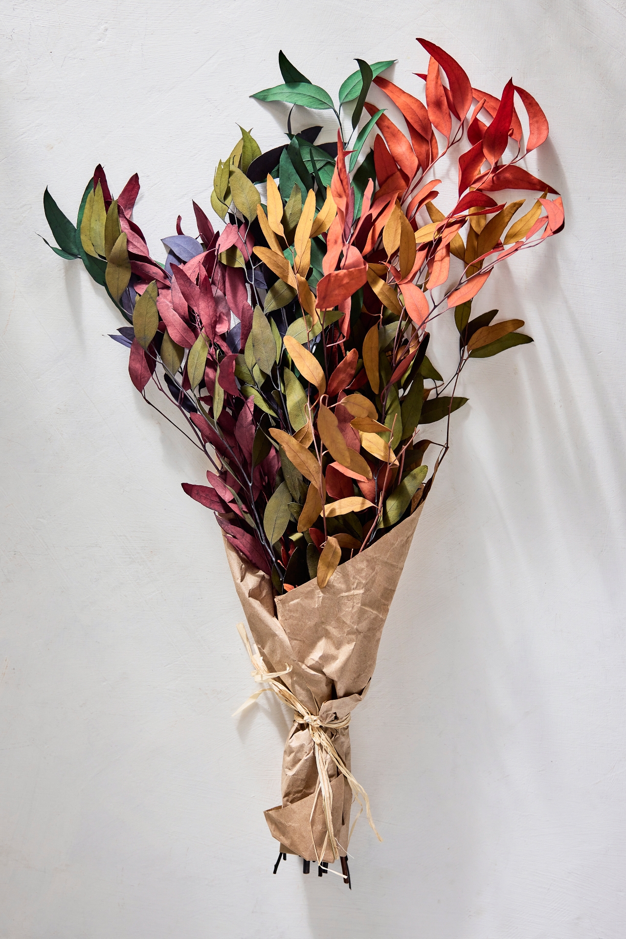 Preserved + Tinted Willow Eucalyptus Bunch