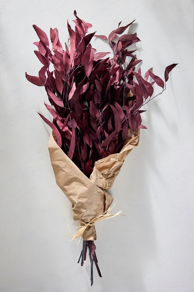 Preserved + Tinted Willow Eucalyptus Bunch #2