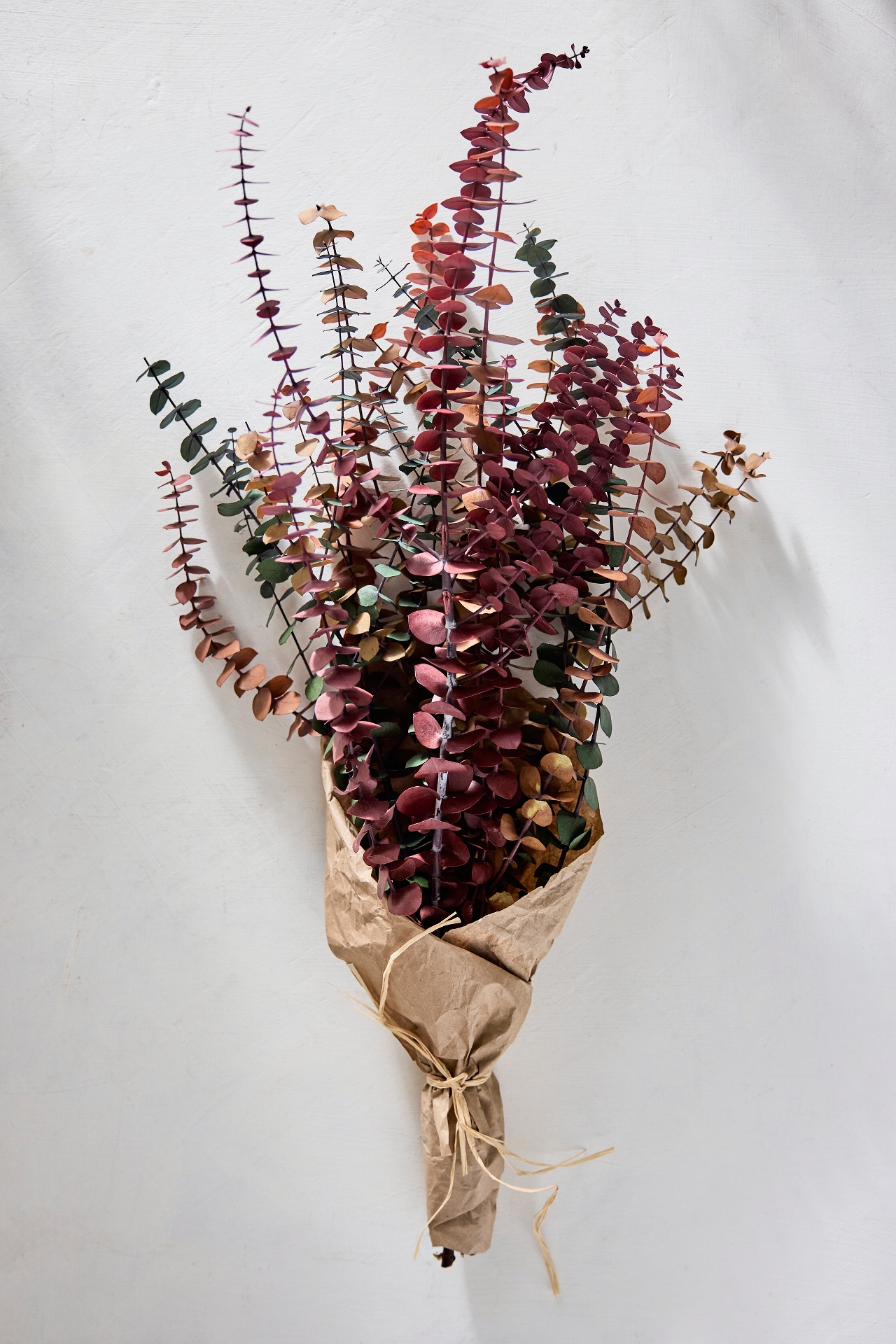 Preserved + Tinted Eucalyptus Bunch