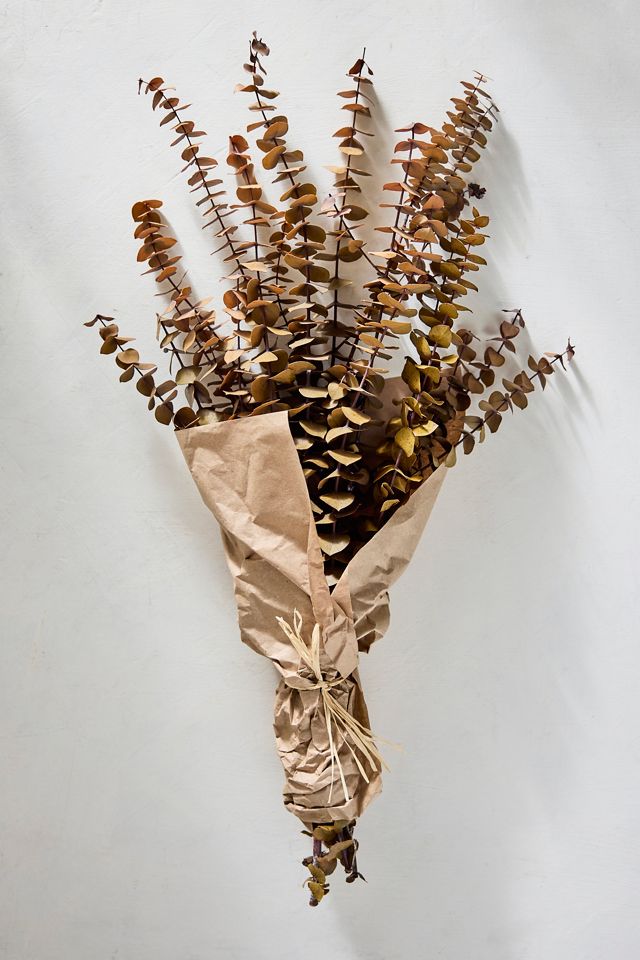 Preserved + Tinted Eucalyptus Bunch #2