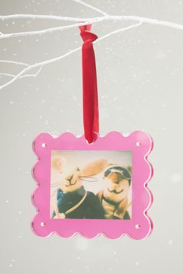 Anthropologie Pink Acrylic Picture Frame Ornament