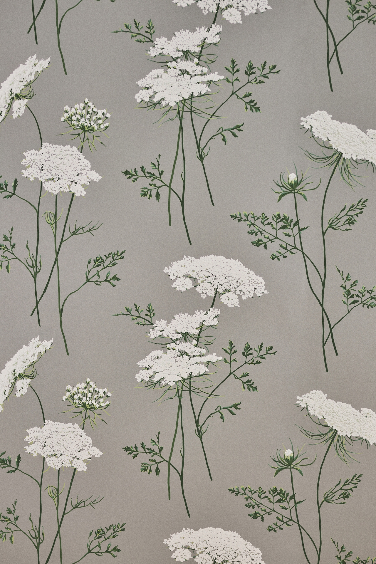 The Queen's Lace Wallpaper