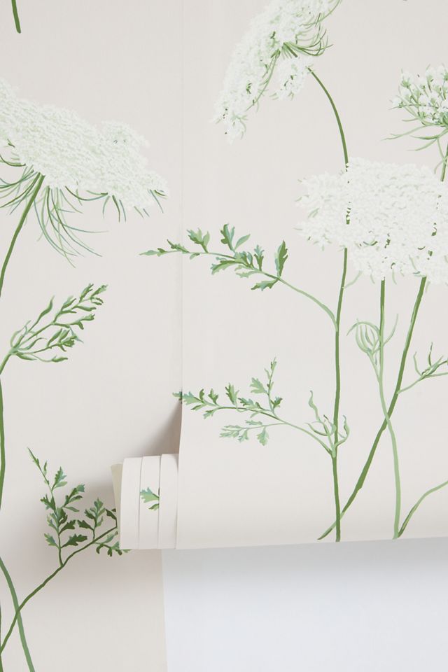 The Queen's Lace Wallpaper #1