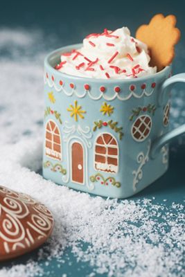 Gingerbread House Stoneware Mug