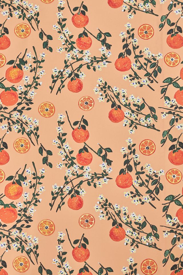 Carly Beck Arance Dolci Fruit Floral Wallpaper #1