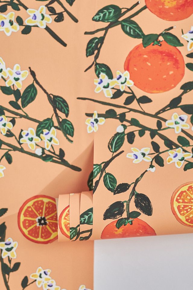 Carly Beck Arance Dolci Fruit Floral Wallpaper #2
