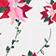 POINSETTIA