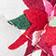 POINSETTIA
