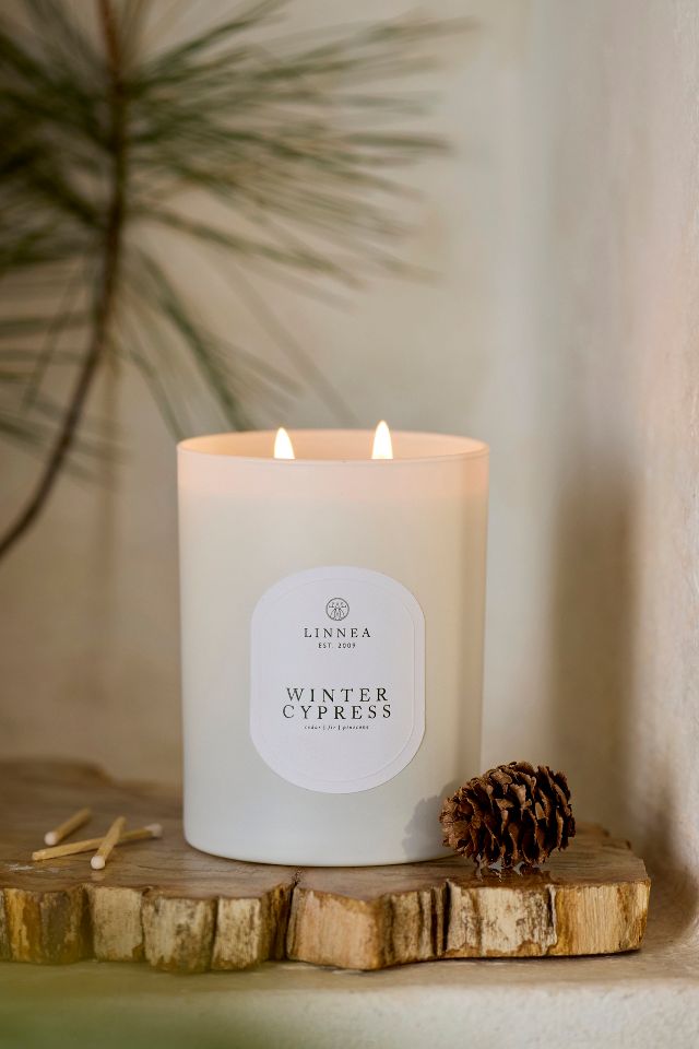 Linnea Candle, Winter Cypress | Anthropologie