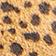 Brown Pattern