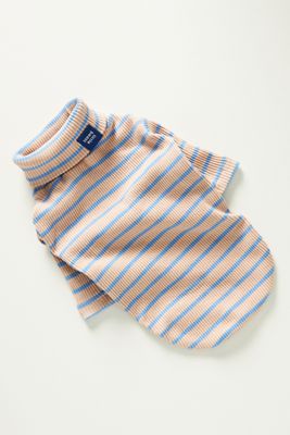Little Beast Striped Pet Shirt