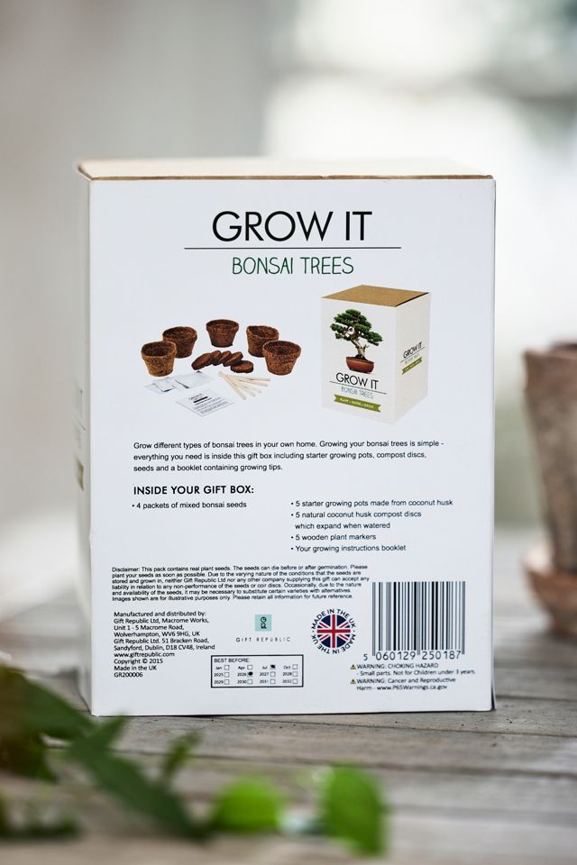 Bonsai Trees Grow Kit #1