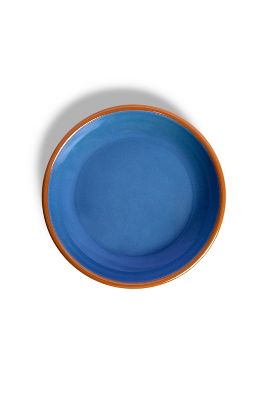 Shop Crow Canyon Home X The Get Out Enamelware Coupe Dinner Plate Set