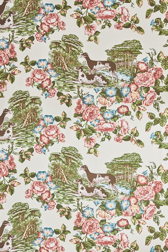 Whippets Paper Dog Wallpaper #1