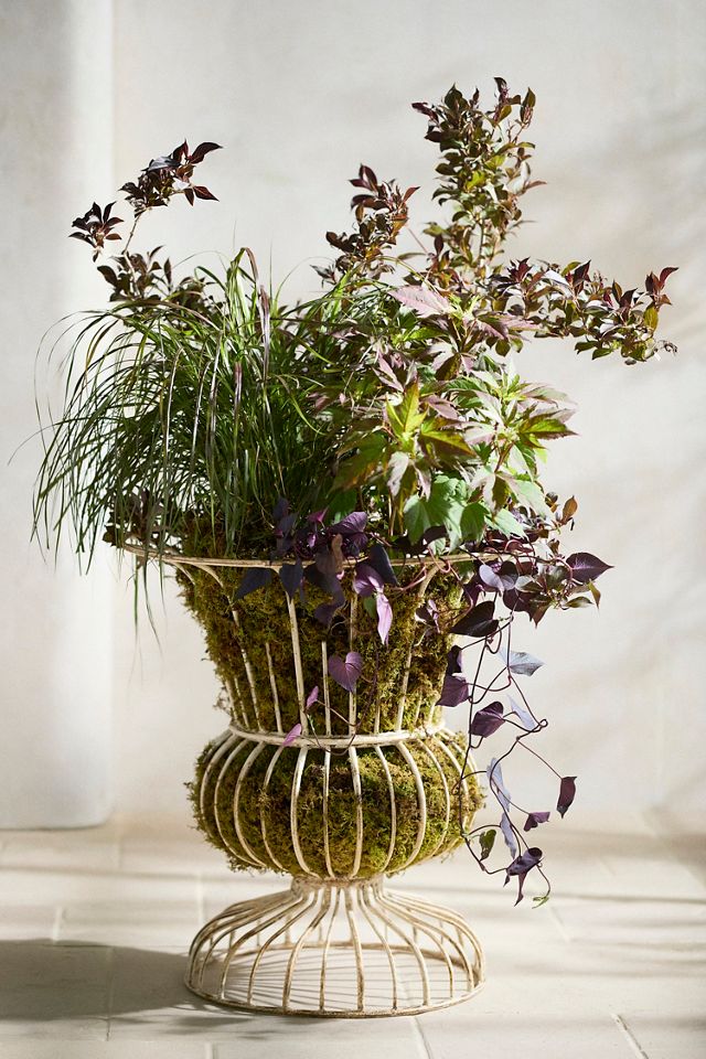 Flared Wire Urn #2