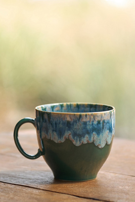 Anthropologie Zabra Mug
