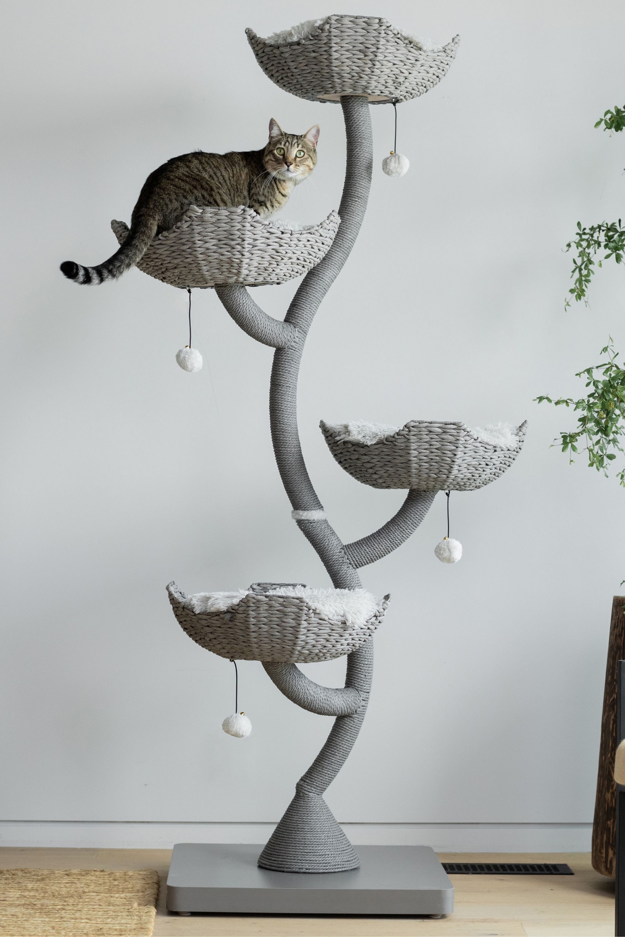 Mau Pet Ivy 3 Cat Tree