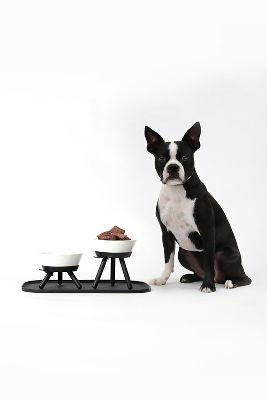 Shop Pets So Good Oreo Pet Standing Bowl