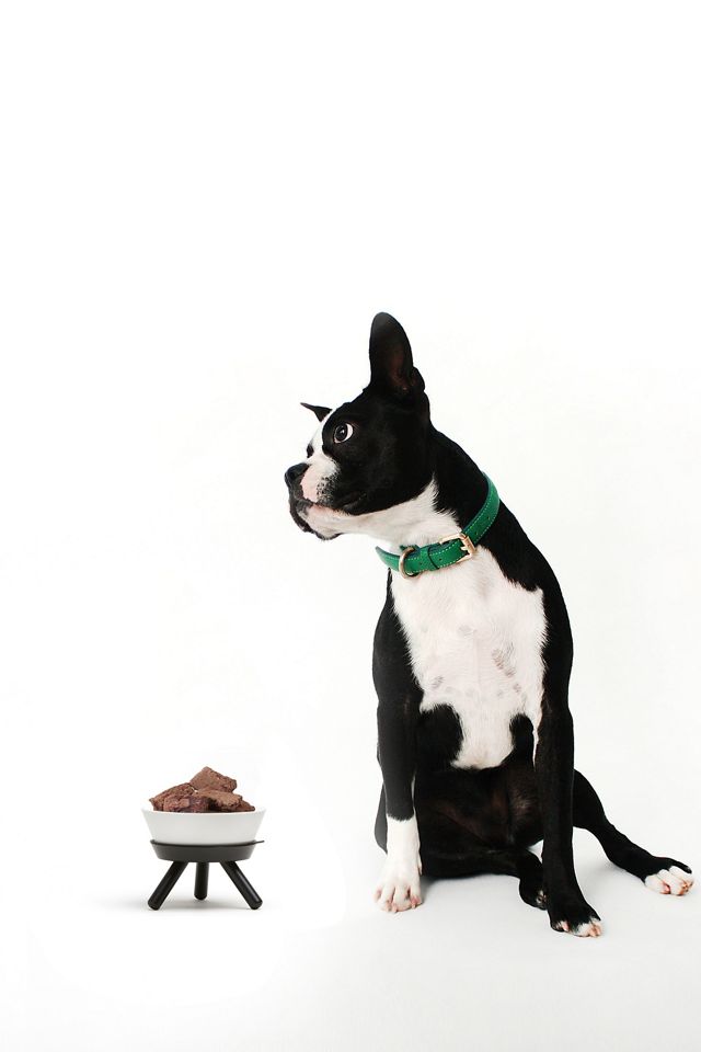 Pets So Good Oreo Pet Standing Bowl #1