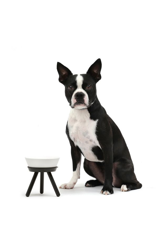 Pets So Good Oreo Pet Standing Bowl #2