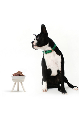 Pets So Good Oreo Pet Standing Bowl