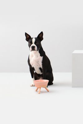 Shop Pets So Good Oreo Pet Standing Bowl