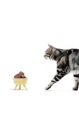 Pets So Good Oreo Pet Standing Bowl