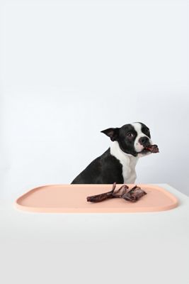 Pets So Good Oreo Bowl Dog Mat