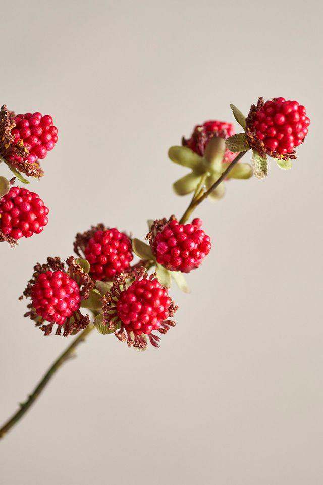 Faux Red Raspberry Spray | Terrain