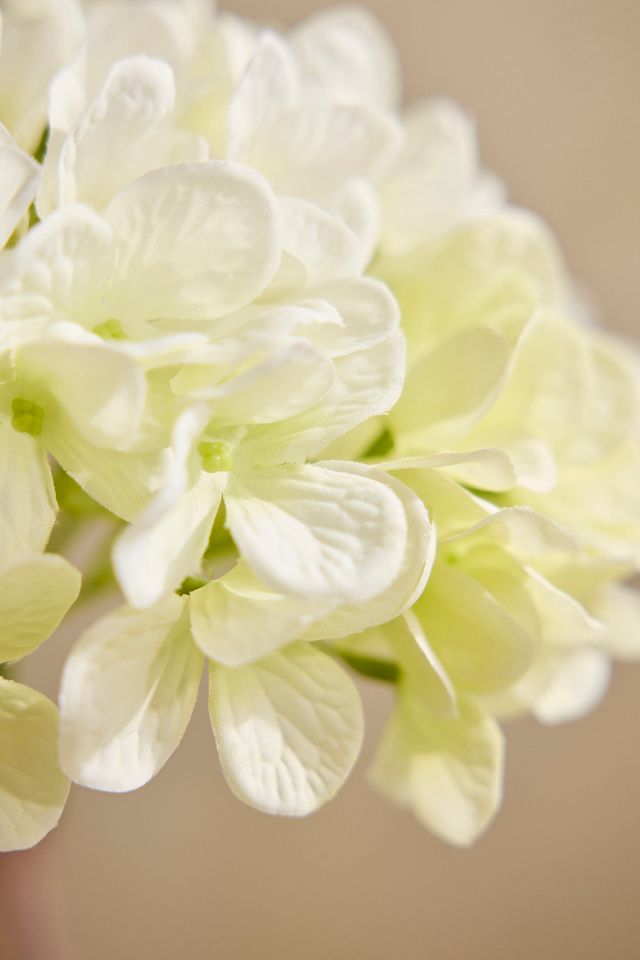 Faux Cream Hydrangea Flower Stem #1
