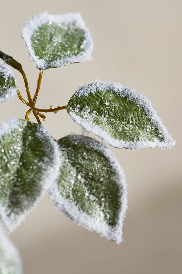 Faux Frosted Leaf Spray #1